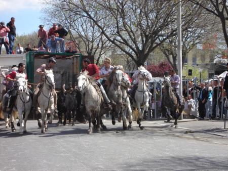 férria